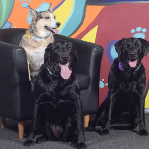 Fundraising Page: Erica Gilpin